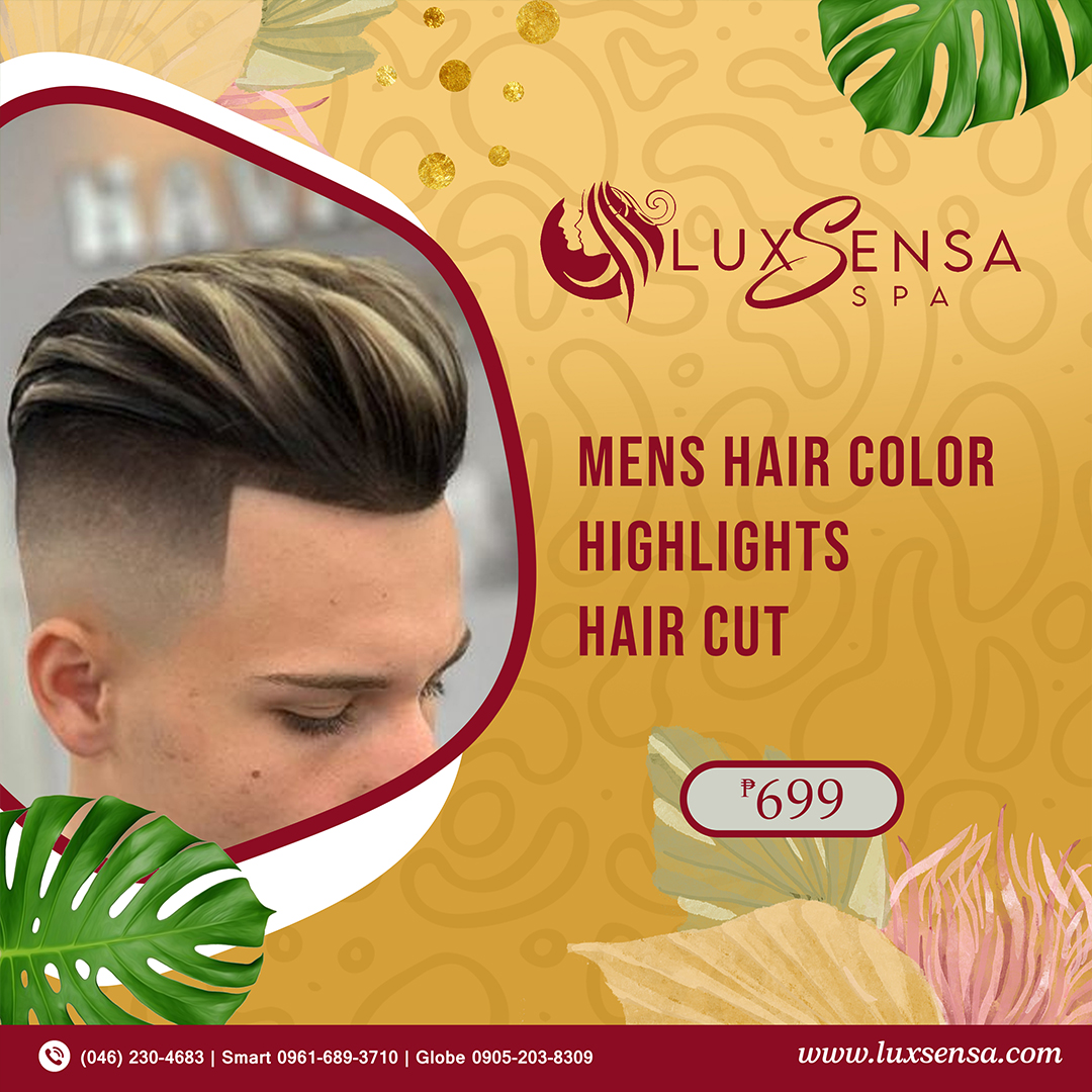 Mens Hair Color, Highlights & Hair Cut - LuxSensa Spa